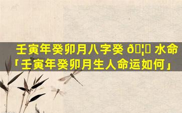 壬寅年癸卯月八字癸 🦟 水命「壬寅年癸卯月生人命运如何」